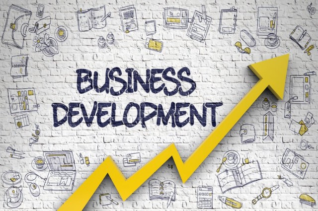 Business Development Program